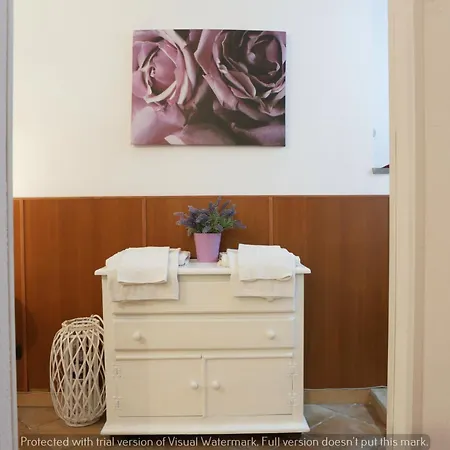 Il Vicolo טרוויניאנו רומאנו